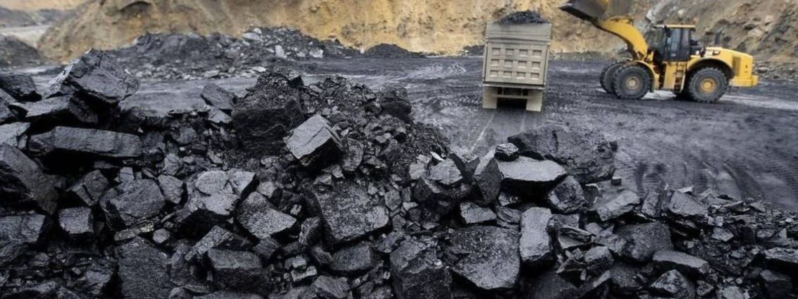 20 Statements Recorded By Coal Procurement PCoI